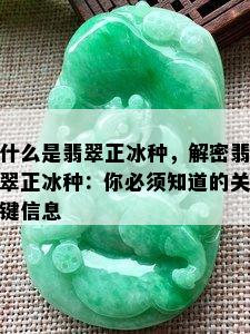 什么是翡翠正冰种，解密翡翠正冰种：你必须知道的关键信息