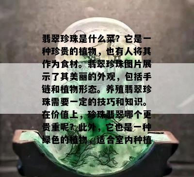 翡翠珍珠是什么菜？它是一种珍贵的植物，也有人将其作为食材。翡翠珍珠图片展示了其美丽的外观，包括手链和植物形态。养殖翡翠珍珠需要一定的技巧和知识。在价值上，珍珠翡翠哪个更贵重呢？此外，它也是一种绿色的植物，适合室内种植。