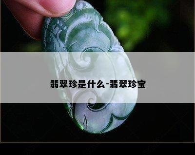 翡翠珍是什么-翡翠珍宝