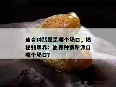 油青种翡翠是哪个场口，揭秘翡翠界：油青种翡翠源自哪个场口？