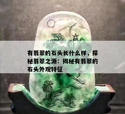 有翡翠的石头长什么样，探秘翡翠之源：揭秘有翡翠的石头外观特征