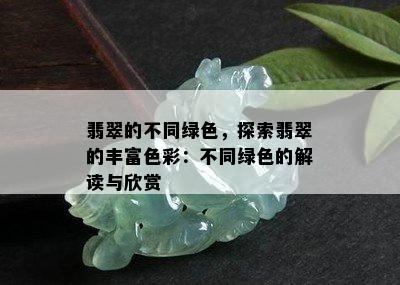 翡翠的不同绿色，探索翡翠的丰富色彩：不同绿色的解读与欣赏