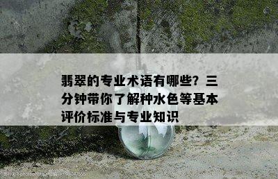 翡翠的专业术语有哪些？三分钟带你了解种水色等基本评价标准与专业知识