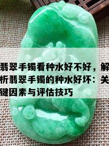 翡翠手镯看种水好不好，解析翡翠手镯的种水好坏：关键因素与评估技巧