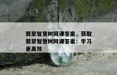 翡翠智慧树网课答案，获取翡翠智慧树网课答案：学习更高效