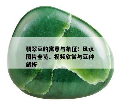 翡翠豆的寓意与象征：风水图片全览、视频欣赏与豆种解析