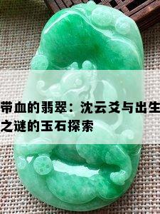 带血的翡翠：沈云爻与出生之谜的玉石探索