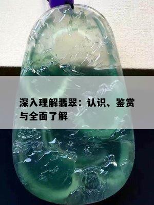 深入理解翡翠：认识、鉴赏与全面了解