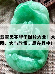 翡翠无字牌子图片大全：大图、大与欣赏，尽在其中！