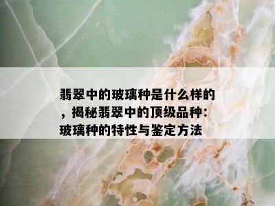 翡翠中的玻璃种是什么样的，揭秘翡翠中的顶级品种：玻璃种的特性与鉴定方法