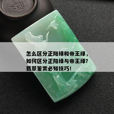 怎么区分正阳绿和帝王绿，如何区分正阳绿与帝王绿？翡翠鉴赏必知技巧！