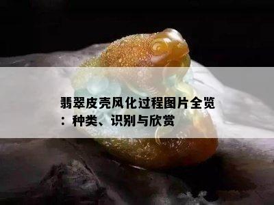 翡翠皮壳风化过程图片全览：种类、识别与欣赏