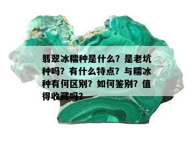 翡翠冰糯种是什么？是老坑种吗？有什么特点？与糯冰种有何区别？如何鉴别？值得收藏吗？