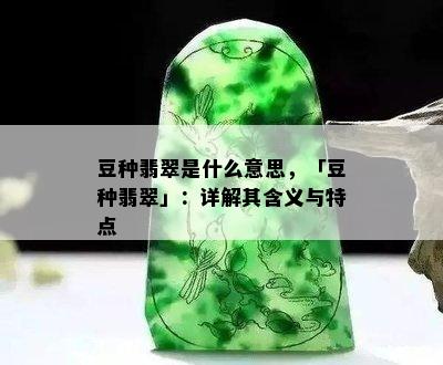 豆种翡翠是什么意思，「豆种翡翠」：详解其含义与特点