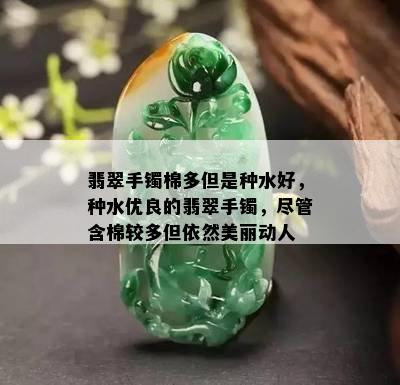 翡翠手镯棉多但是种水好，种水优良的翡翠手镯，尽管含棉较多但依然美丽动人