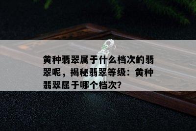 黄种翡翠属于什么档次的翡翠呢，揭秘翡翠等级：黄种翡翠属于哪个档次？