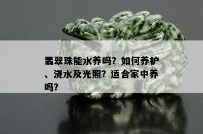 翡翠珠能水养吗？如何养护、浇水及光照？适合家中养吗？