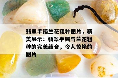 翡翠手镯兰花粗种图片，精美展示：翡翠手镯与兰花粗种的完美结合，令人惊艳的图片