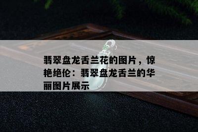 翡翠盘龙舌兰花的图片，惊艳绝伦：翡翠盘龙舌兰的华丽图片展示