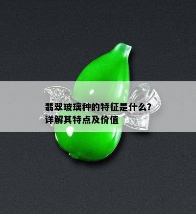 翡翠玻璃种的特征是什么？详解其特点及价值