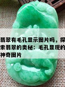 翡翠有毛孔显示图片吗，探索翡翠的奥秘：毛孔显现的神奇图片