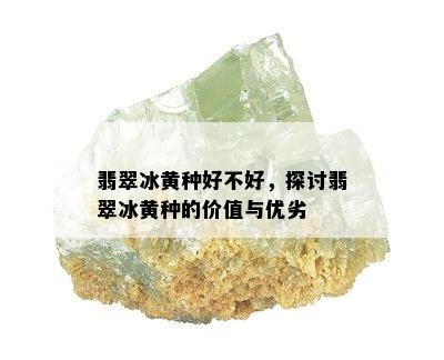 翡翠冰黄种好不好，探讨翡翠冰黄种的价值与优劣