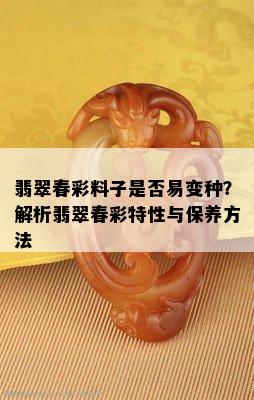 翡翠春彩料子是否易变种？解析翡翠春彩特性与保养方法