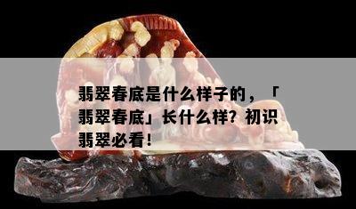 翡翠春底是什么样子的，「翡翠春底」长什么样？初识翡翠必看！