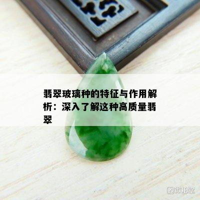 翡翠玻璃种的特征与作用解析：深入了解这种高质量翡翠