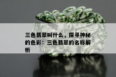 三色翡翠叫什么，探寻神秘的色彩：三色翡翠的名称解析