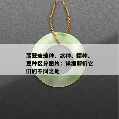 翡翠玻璃种、冰种、糯种、豆种区分图片：详细解析它们的不同之处