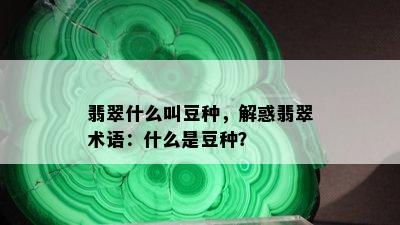 翡翠什么叫豆种，解惑翡翠术语：什么是豆种？