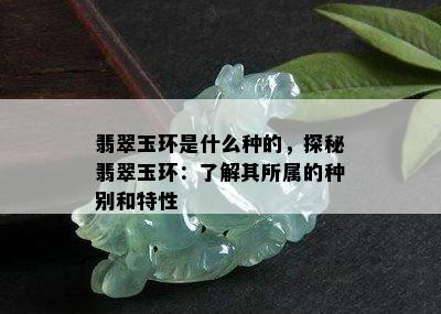 翡翠玉环是什么种的，探秘翡翠玉环：了解其所属的种别和特性