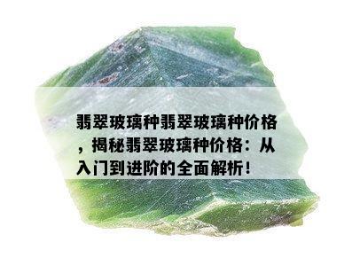 翡翠玻璃种翡翠玻璃种价格，揭秘翡翠玻璃种价格：从入门到进阶的全面解析！