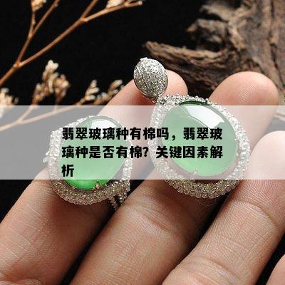 翡翠玻璃种有棉吗，翡翠玻璃种是否有棉？关键因素解析