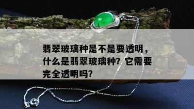 翡翠玻璃种是不是要透明，什么是翡翠玻璃种？它需要完全透明吗？