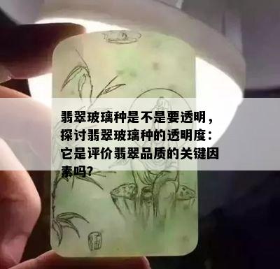 翡翠玻璃种是不是要透明，探讨翡翠玻璃种的透明度：它是评价翡翠品质的关键因素吗？