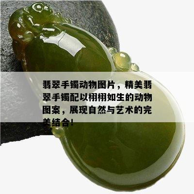 翡翠手镯动物图片，精美翡翠手镯配以栩栩如生的动物图案，展现自然与艺术的完美结合！