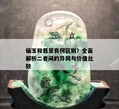 缅玉和翡翠有何区别？全面解析二者间的异同与价值比较