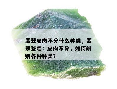 翡翠皮肉不分什么种类，翡翠鉴定：皮肉不分，如何辨别各种种类？