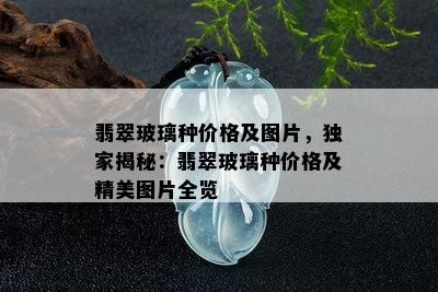 翡翠玻璃种价格及图片，独家揭秘：翡翠玻璃种价格及精美图片全览