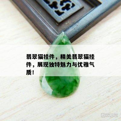 翡翠猫挂件，精美翡翠猫挂件，展现独特魅力与优雅气质！