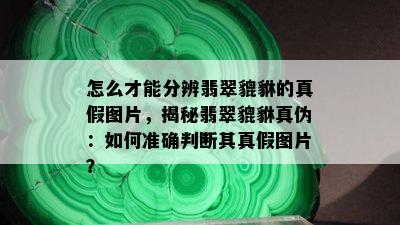 怎么才能分辨翡翠貔貅的真假图片，揭秘翡翠貔貅真伪：如何准确判断其真假图片？