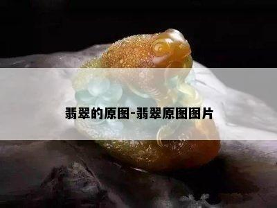 翡翠的原图-翡翠原图图片