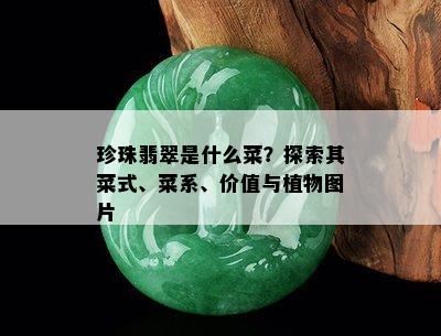 珍珠翡翠是什么菜？探索其菜式、菜系、价值与植物图片