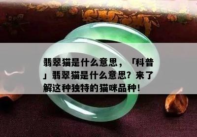 翡翠猫是什么意思，「科普」翡翠猫是什么意思？来了解这种独特的猫咪品种！