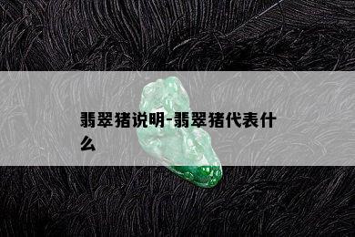 翡翠猪说明-翡翠猪代表什么