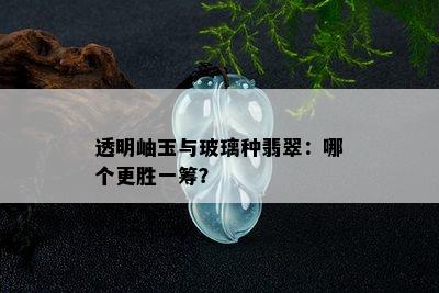 透明岫玉与玻璃种翡翠：哪个更胜一筹？