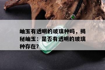 岫玉有透明的玻璃种吗，揭秘岫玉：是否有透明的玻璃种存在？