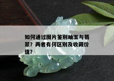 如何通过图片鉴别岫玉与翡翠？两者有何区别及收藏价值？